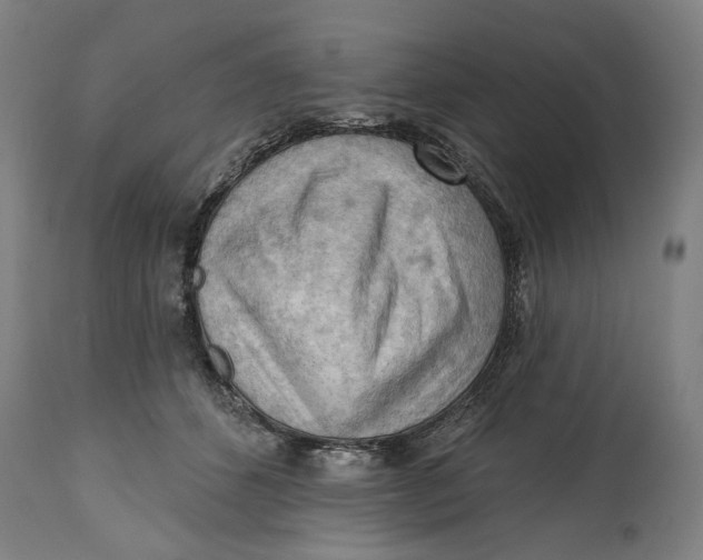 X0000114630512200911101239