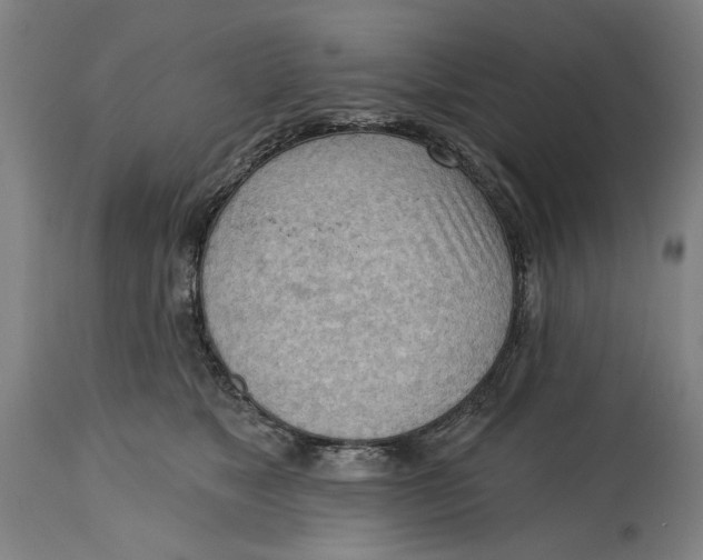 X0000114630517200911101239