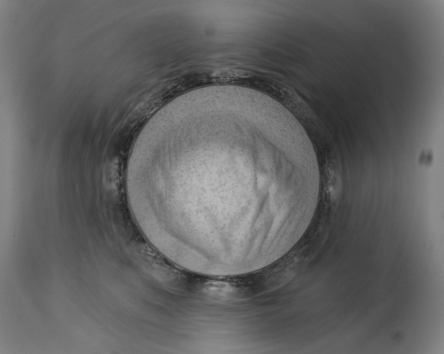 X0000114630519200911101239