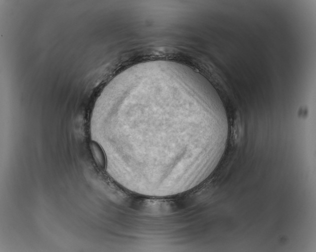 X0000114630520200911101239