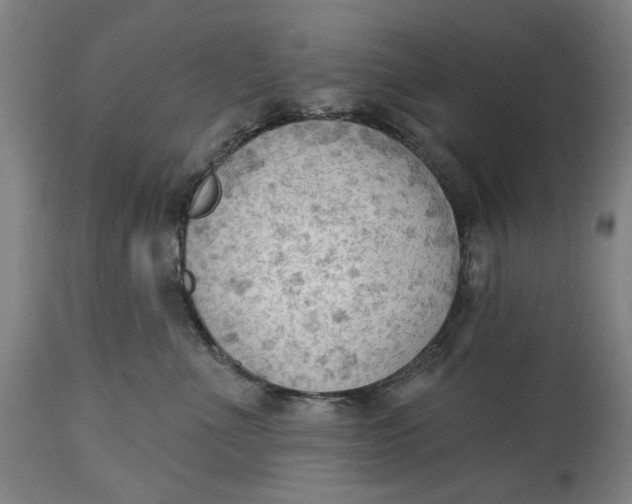 X0000114630523200911101239