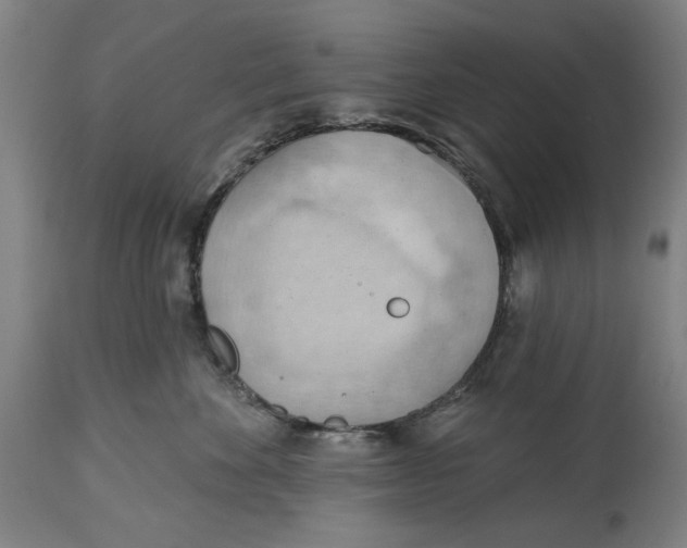 X0000114630524200911101239