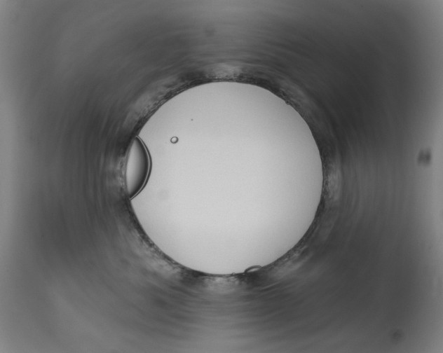 X0000114630525200911101239