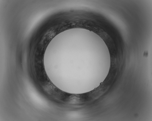 X0000114630526200911101239