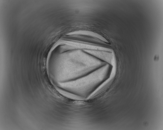 X0000114630528200911101239