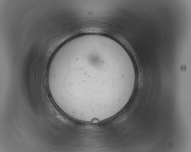 X0000114630529200911101238