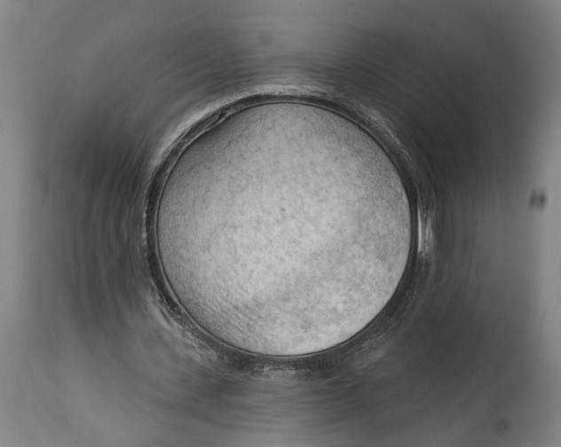 X0000114630531200911101238