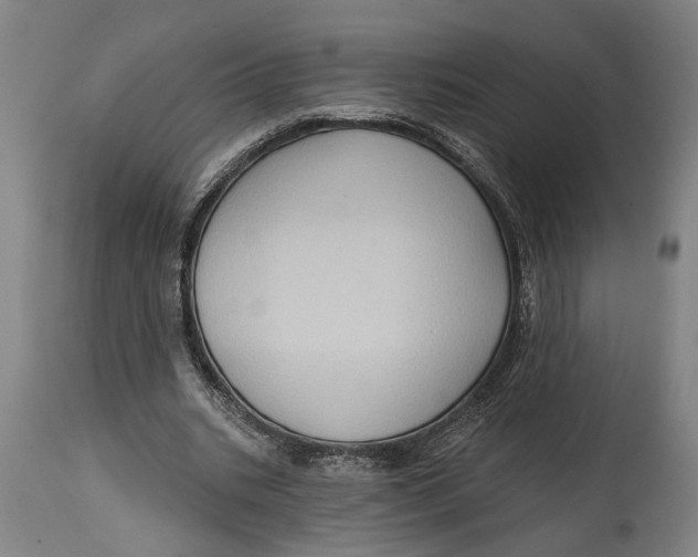 X0000114630535200911101238