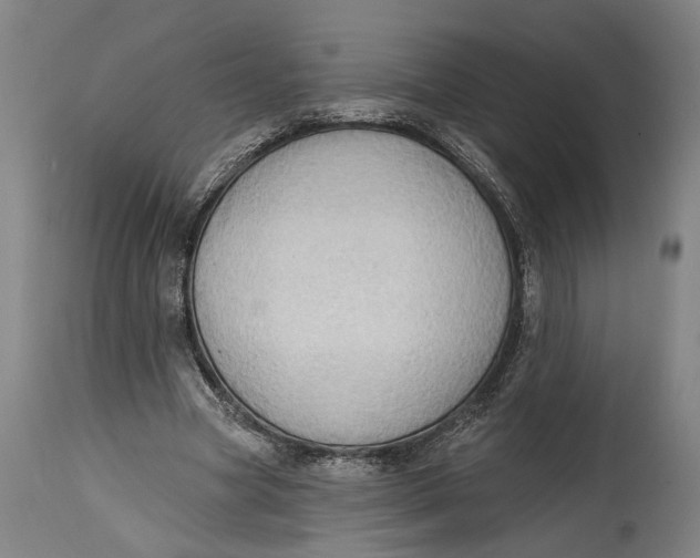 X0000114630537200911101238