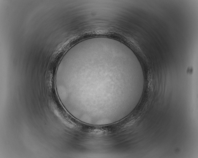 X0000114630542200911101238