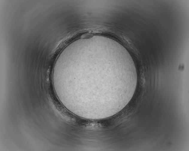 X0000114630543200911101238