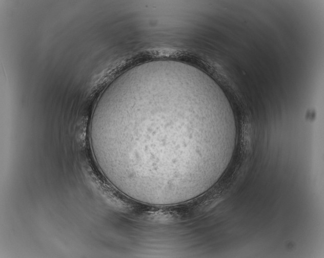 X0000114630545200911101239