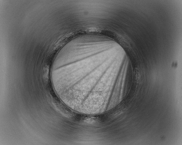 X0000114630550200911101239