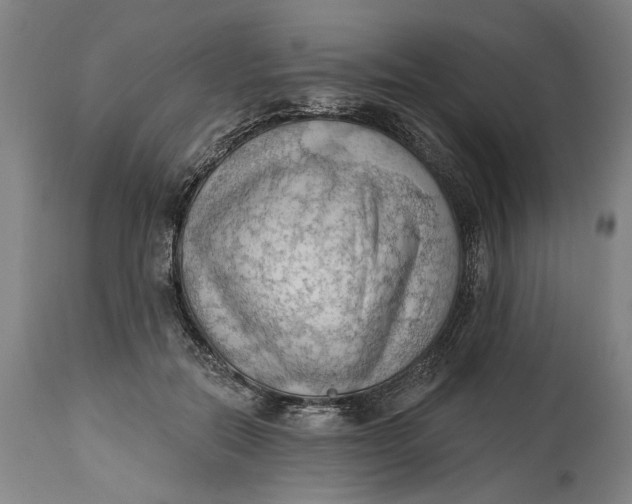 X0000114630554200911101239