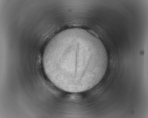 X0000114630555200911101239