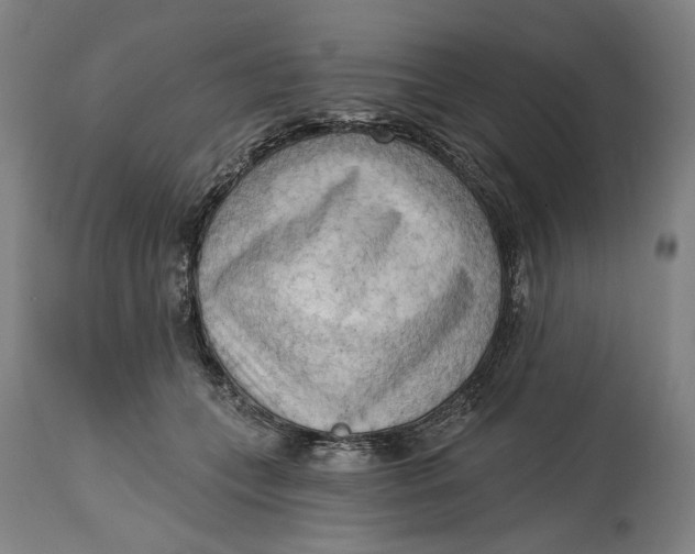 X0000114630559200911101239