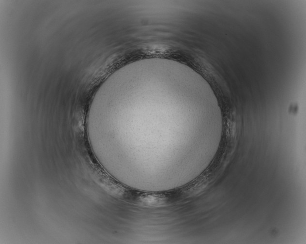 X0000114630561200911101239