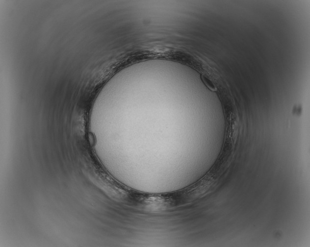 X0000114630562200911101239