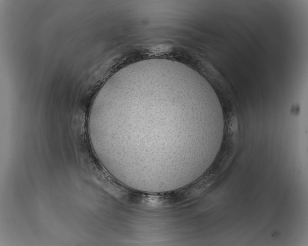 X0000114630565200911101239