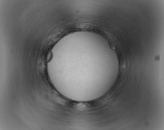 X0000114630566200911101239