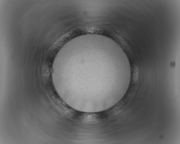 X0000114630569200911101239