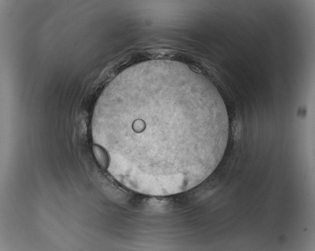 X0000114630570200911101239