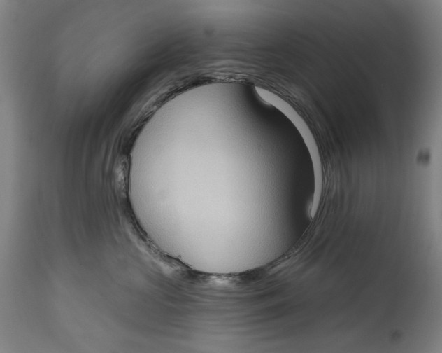 X0000114630573200911101239