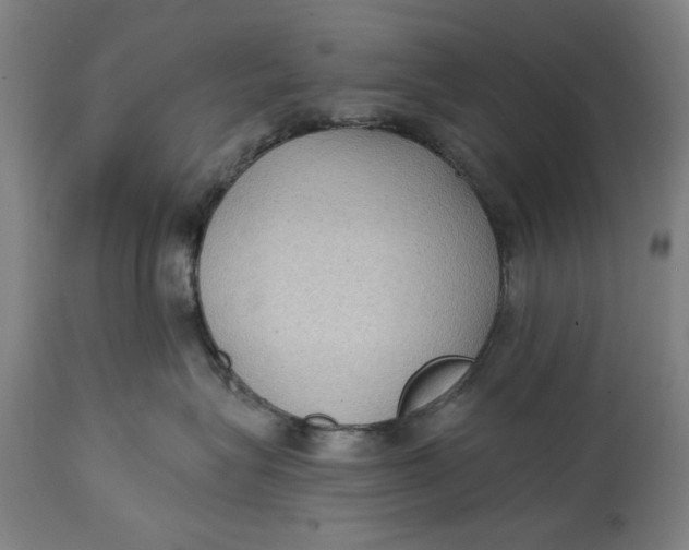 X0000114630575200911101239