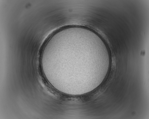 X0000114630580200911101238