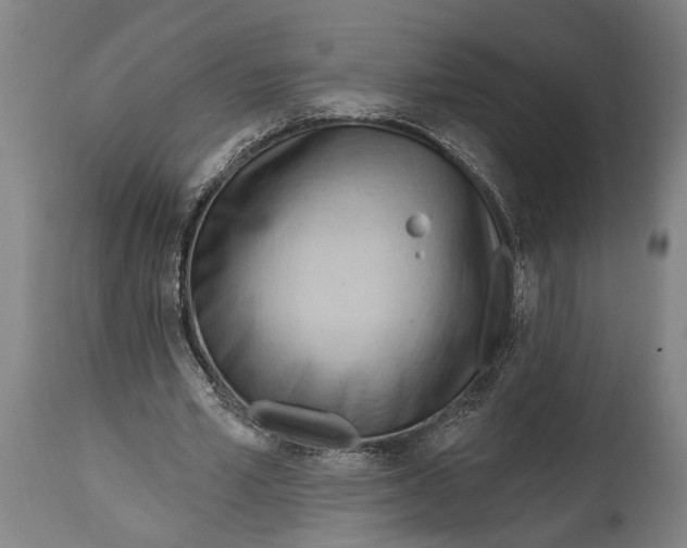 X0000114630581200911101238