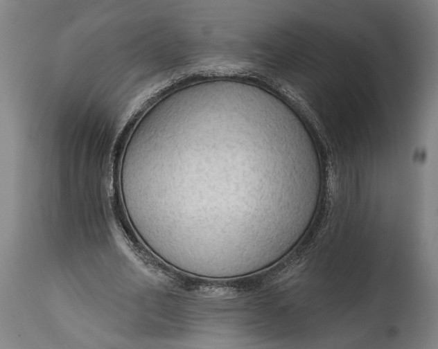 X0000114630582200911101238