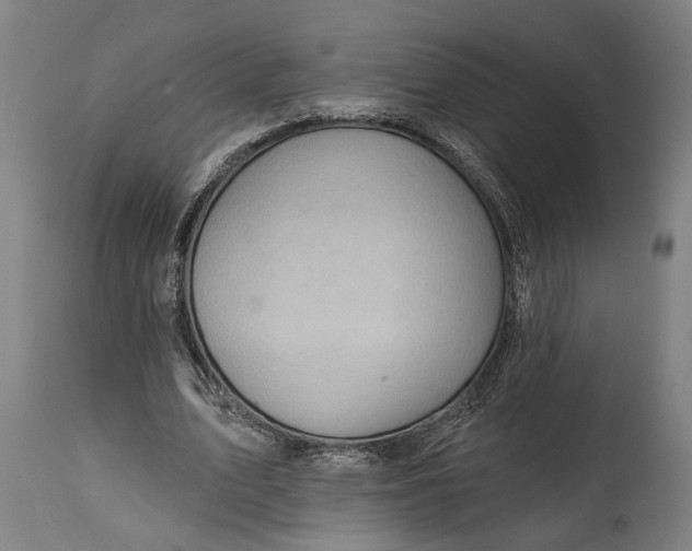 X0000114630583200911101238