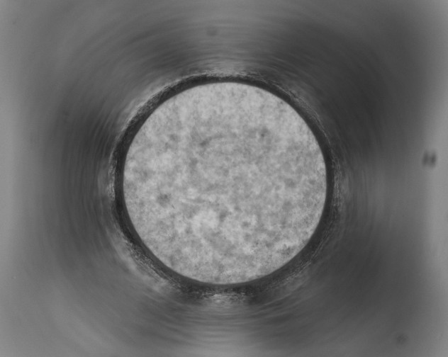 X0000114630584200911101238