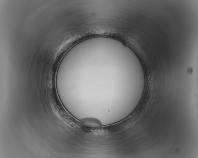 X0000114630587200911101238