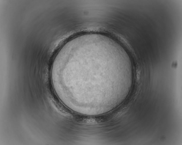 X0000114630588200911101238