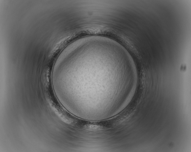 X0000114630590200911101238