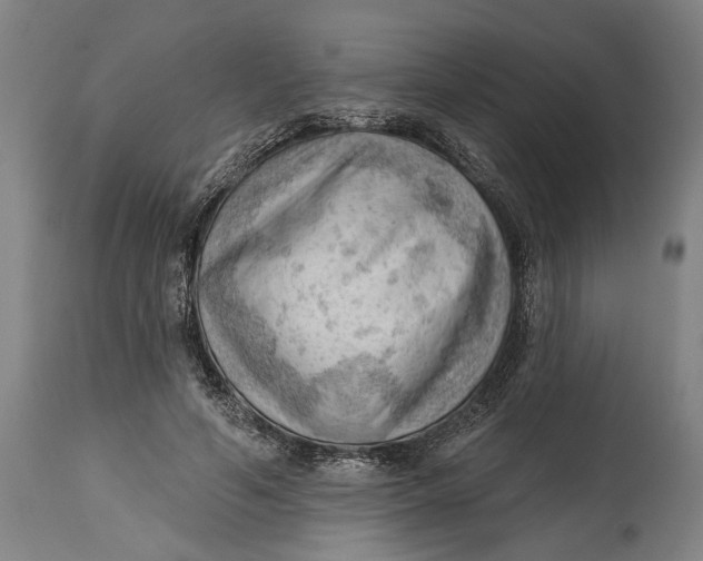 X0000114630594200911101238