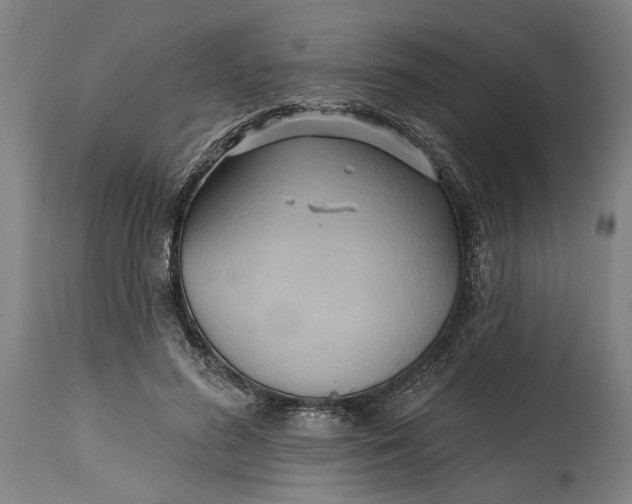 X0000114630596200911101238