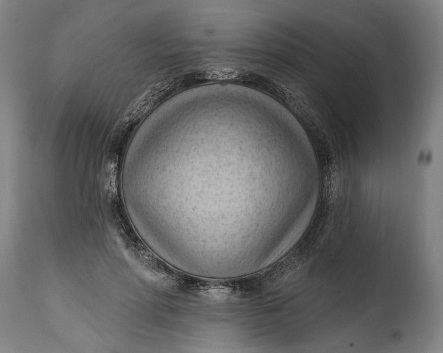 X0000114630598200911101238