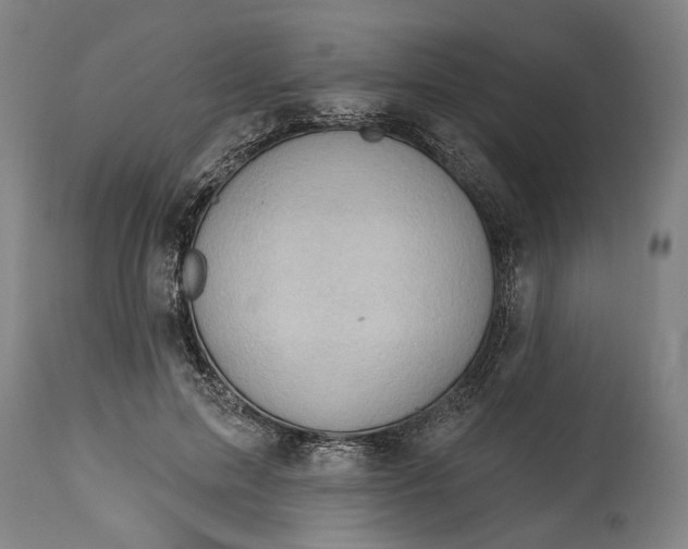 X0000114630599200911101238