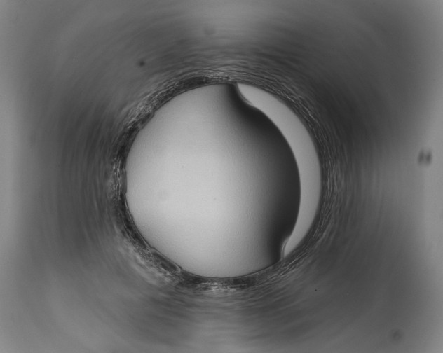 X0000114630601200911101238