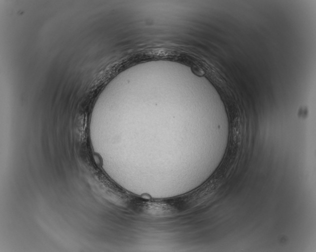 X0000114630605200911101238