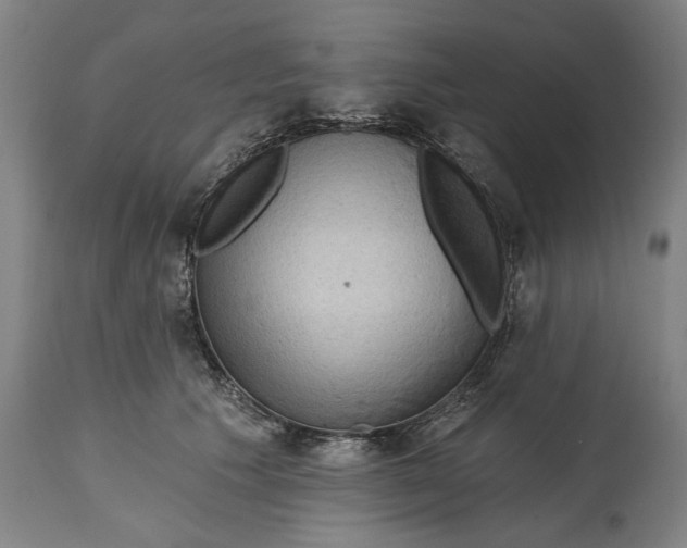 X0000114630609200911101238