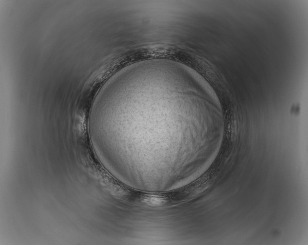 X0000114630610200911101238