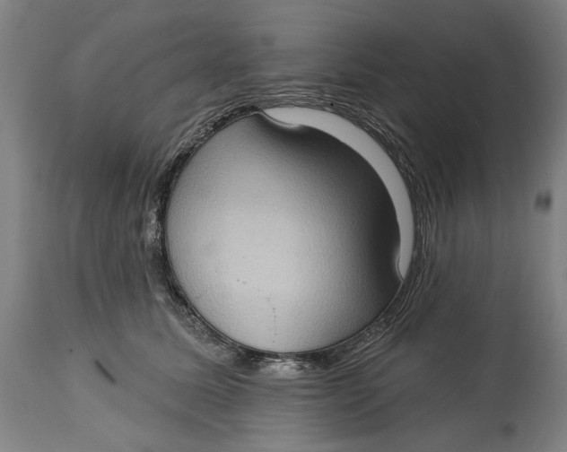 X0000114630611200911101238