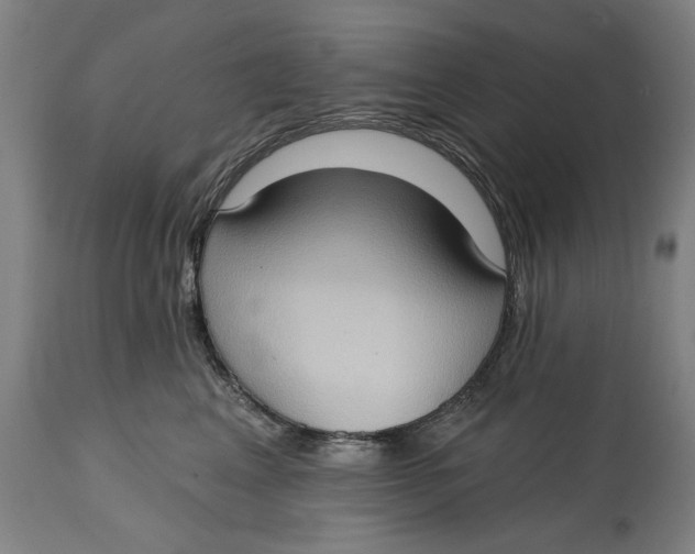 X0000114630617200911101238