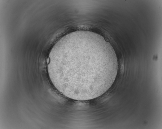 X0000114630619200911101238