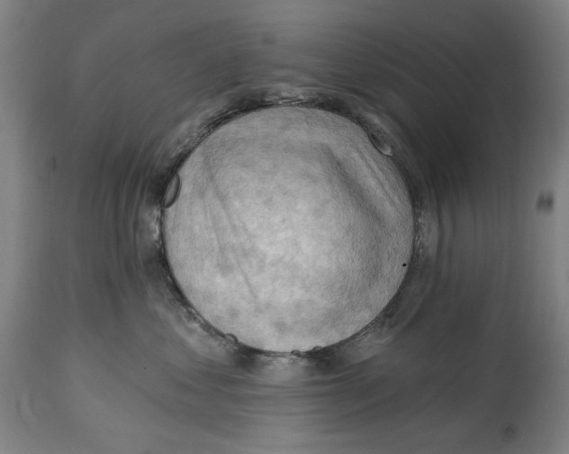 X0000114630621200911101238