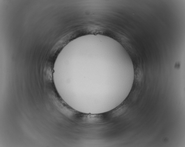 X0000114630622200911101238