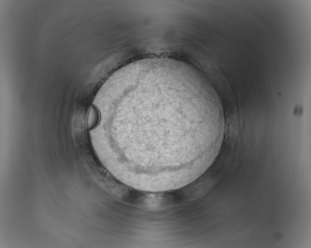 X0000114630623200911101238